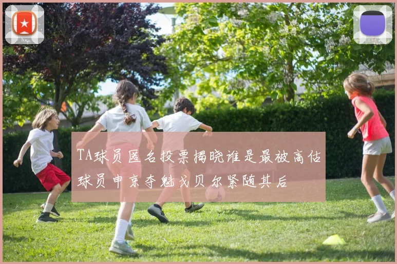 TA球员匿名投票揭晓谁是最被高估球员申京夺魁戈贝尔紧随其后